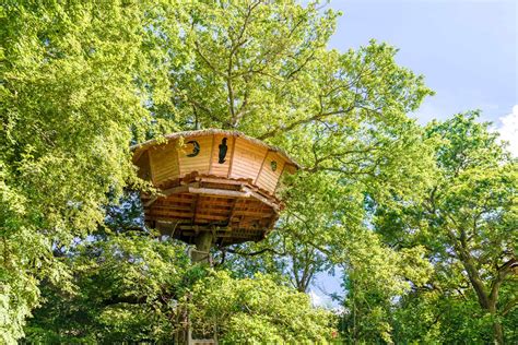 Embracing the Enchantment: Staying in a Tree House near the Eiffel Tower